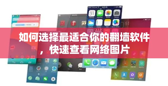 如何选择最适合你的翻墙软件，快速查看网络图片