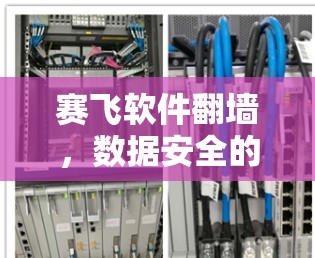 赛飞软件翻墙，数据安全的另一种方式