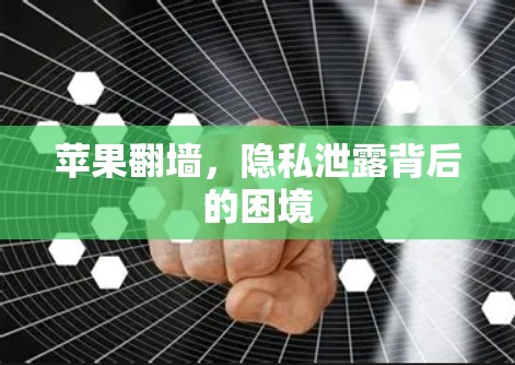 苹果翻墙，隐私泄露背后的困境