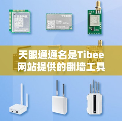 天眼通通名是Tibee网站提供的翻墙工具，通过访问该网站可以实现网页访问的翻墙功能，如从网页访问转换为移动设备访问。以下是关于天眼通的详细信息