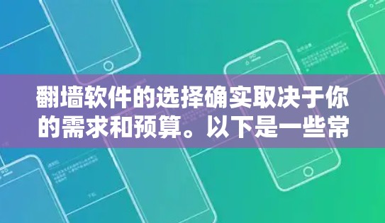翻墙软件的选择确实取决于你的需求和预算。以下是一些常见的翻墙软件推荐，帮助你找到最适合自己的工具