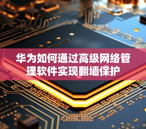 华为如何通过高级网络管理软件实现翻墙保护