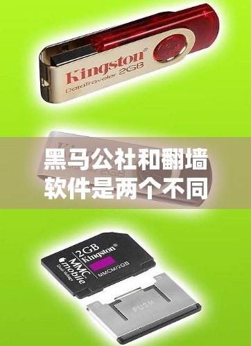 黑马公社和翻墙软件是两个不同的概念，但它们之间可能在某些情况下可以结合起来，从而提升业务管理和资源管理效率。以下是它们的关系和作用的详细分析