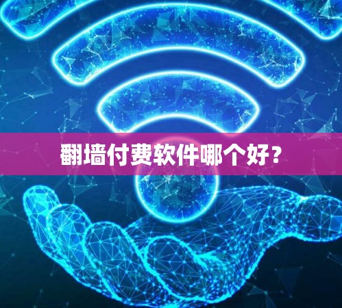 翻墙付费软件哪个好？