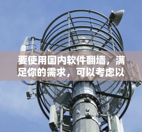 要使用国内软件翻墙，满足你的需求，可以考虑以下几种方案