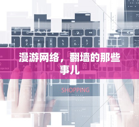 漫游网络，翻墙的那些事儿