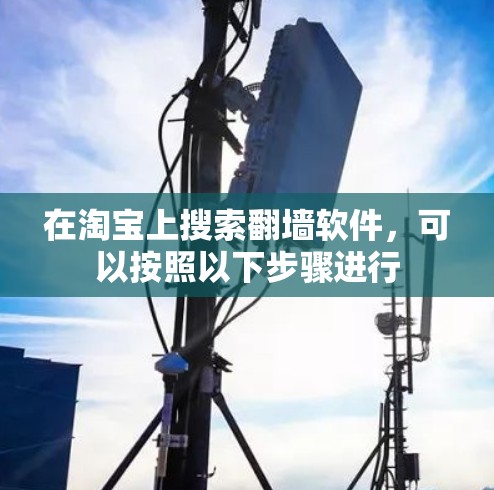在淘宝上搜索翻墙软件，可以按照以下步骤进行