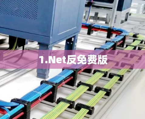 1.Net反免费版