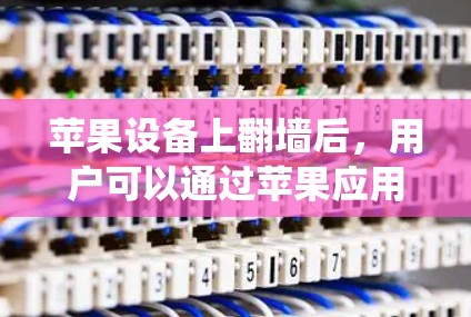 苹果设备上翻墙后，用户可以通过苹果应用程序推荐软件来管理和安装新安装的系统或应用程序。以下是苹果翻墙后推荐软件的常见类型及推荐方法