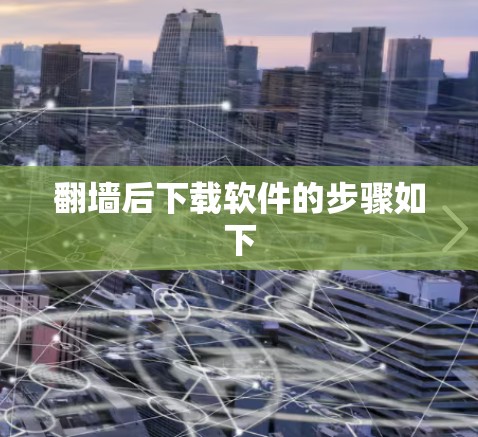 翻墙后下载软件的步骤如下