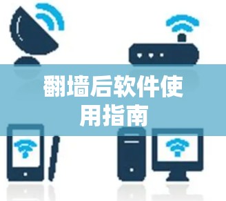 翻墙后软件使用指南