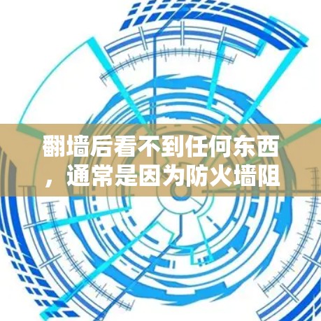 翻墙后看不到任何东西，通常是因为防火墙阻止了你打开任何文件或网站的权限。解决这个问题可以通过以下步骤进行