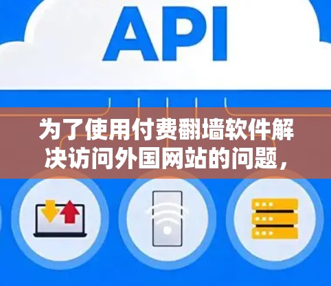 为了使用付费翻墙软件解决访问外国网站的问题，以下是一个有条理的解决方案