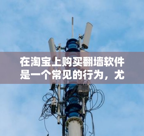 在淘宝上购买翻墙软件是一个常见的行为，尤其是在需要访问外部网站时。以下是一个详细的步骤指南，帮助您了解如何操作