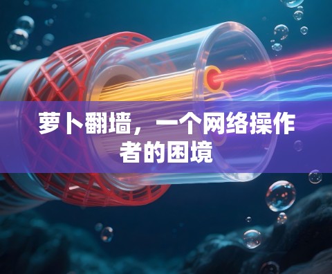 萝卜翻墙，一个网络操作者的困境