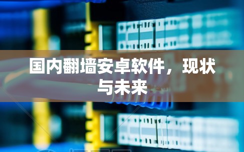 国内翻墙安卓软件，现状与未来