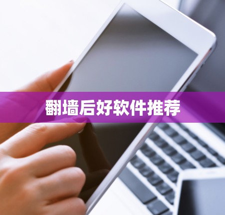 翻墙后好软件推荐
