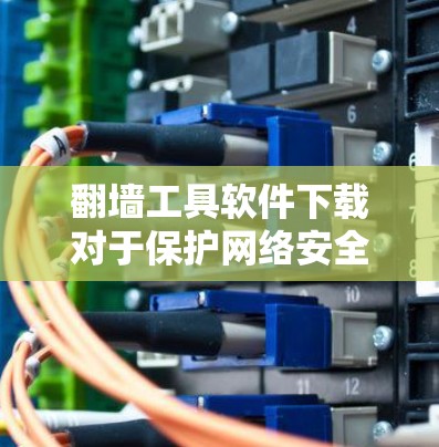 翻墙工具软件下载对于保护网络安全和满足访问特定网站的需求非常有用。以下是一些详细的步骤和建议，帮助用户正确使用翻墙工具
