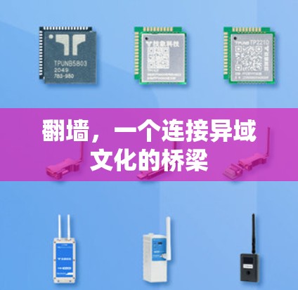 翻墙，一个连接异域文化的桥梁