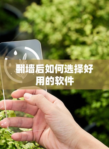 翻墙后如何选择好用的软件