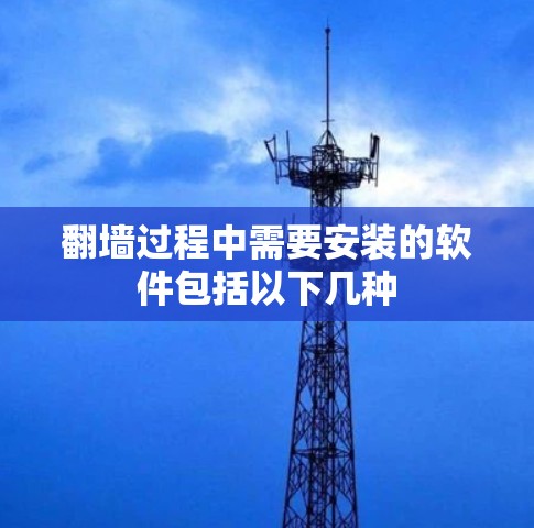 翻墙过程中需要安装的软件包括以下几种