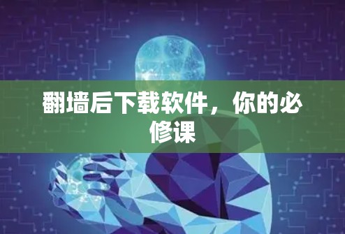 翻墙后下载软件，你的必修课