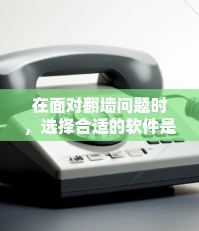 在面对翻墙问题时，选择合适的软件是关键。以下是一些常用的翻墙软件及其特点和使用方法