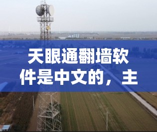 天眼通翻墙软件是中文的，主要在QQ内网提供翻墙功能。以下是获取和安装的具体步骤