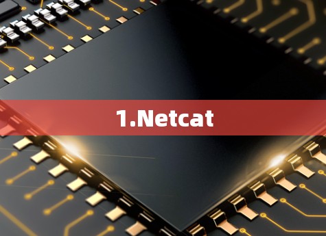 1.Netcat