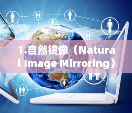 1.自然镜像（Natural Image Mirroring）