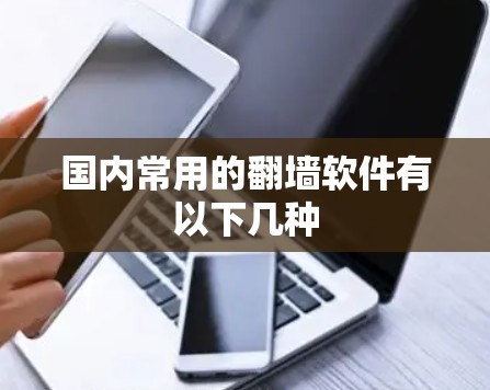 国内常用的翻墙软件有以下几种