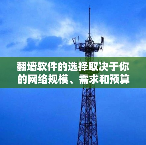 翻墙软件的选择取决于你的网络规模、需求和预算。以下是一个有条理的总结