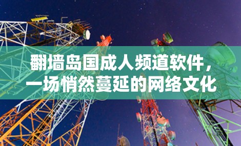 翻墙岛国成人频道软件，一场悄然蔓延的网络文化狂欢
