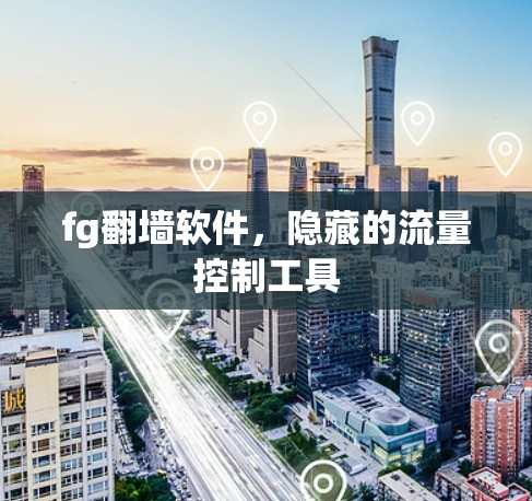fg翻墙软件，隐藏的流量控制工具