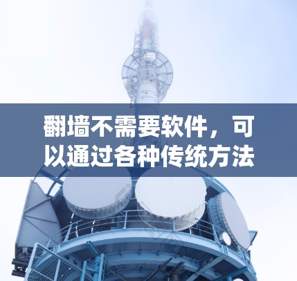 翻墙不需要软件，可以通过各种传统方法实现。以下是一些常见的方式