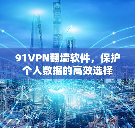 91VPN翻墙软件，保护个人数据的高效选择