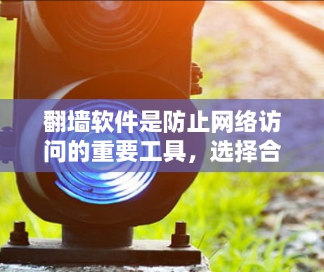 翻墙软件是防止网络访问的重要工具，选择合适的翻墙软件对于个人和企业都至关重要。以下是一些功能全面、易用且安全的翻墙软件推荐，供你参考