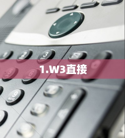 1.W3直接