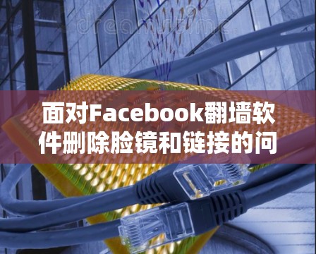 面对Facebook翻墙软件删除脸镜和链接的问题，您可以采取以下步骤来保护自己的隐私和网络安全