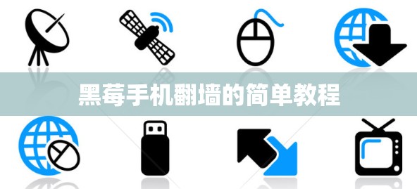 黑莓手机翻墙的简单教程