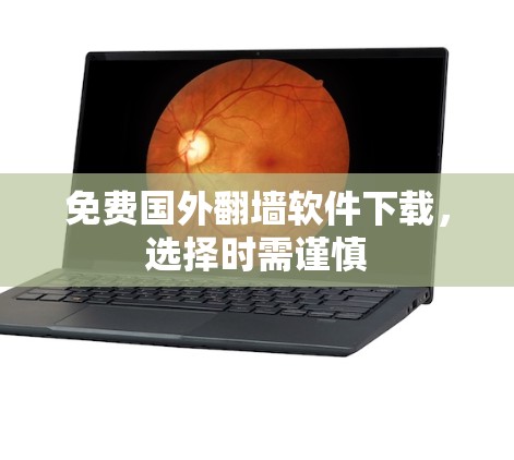 免费国外翻墙软件下载，选择时需谨慎