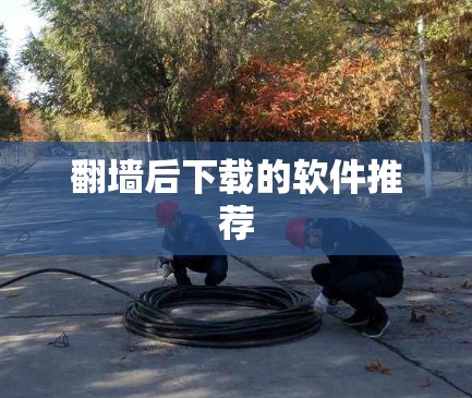 翻墙后下载的软件推荐