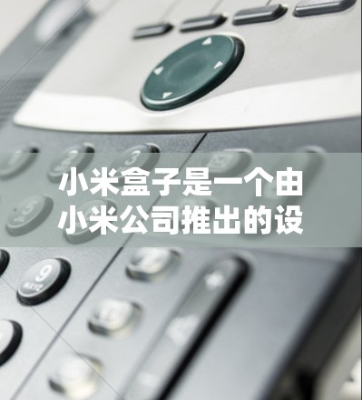小米盒子是一个由小米公司推出的设备管理软件，主要用于管理小米设备的设置、管理、扩展等功能。在面对翻墙软件的问题时，小米盒子内部可能没有专门的国外翻墙软件，但可以利用设备权限管理来实现翻墙功能