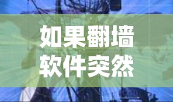 如果翻墙软件突然停止功能，可以按照以下步骤进行处理