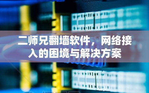 二师兄翻墙软件，网络接入的困境与解决方案