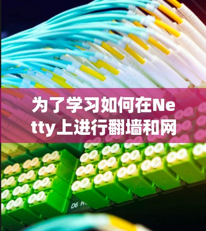为了学习如何在Netty上进行翻墙和网络管理，可以按照以下步骤进行
