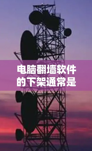 电脑翻墙软件的下架通常是由于多方面因素导致的。以下是一些可能的原因