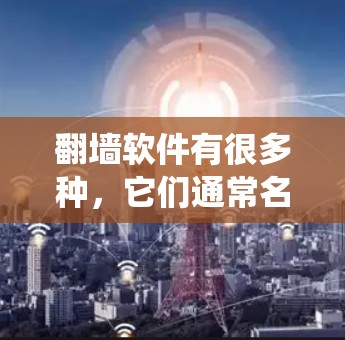 翻墙软件有很多种，它们通常名为绕过式工具绕过器绕过软件绕过工具等。以下是一些常见的名称