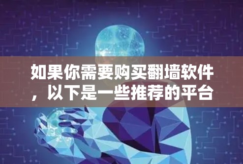如果你需要购买翻墙软件，以下是一些推荐的平台和工具，根据你的需求和预算进行选择