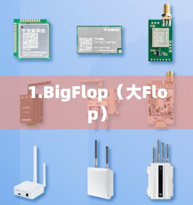 1.BigFlop（大Flop）